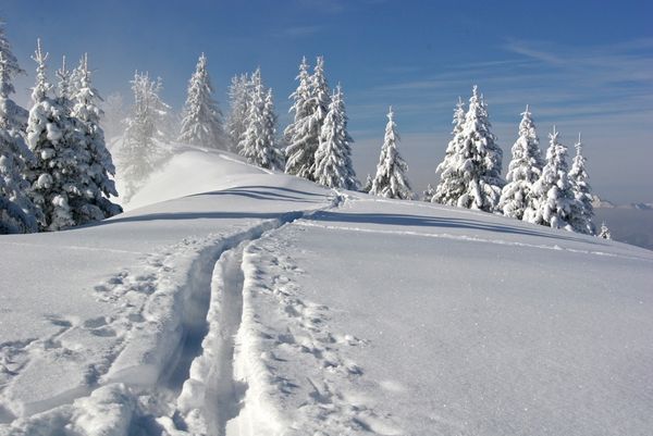 Geführte Wanderungen